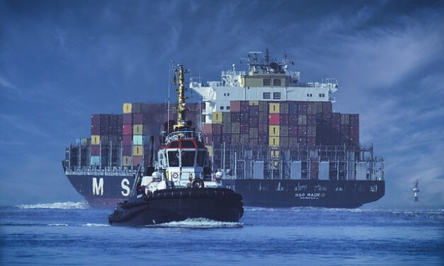 Conseils pour trouver un transitaire maritime fiable à l&rsquo;international