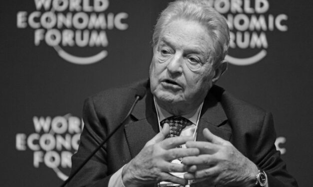 Georges Soros : stratège ou polémiste ?