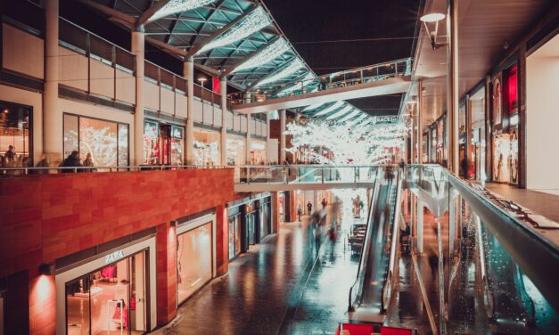 L&rsquo;avenir du commerce brick and mortar à l&rsquo;ère du numérique